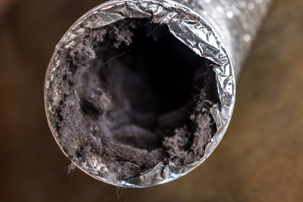 Best Air Duct Cleaning Near Me  in Abbeville, LA