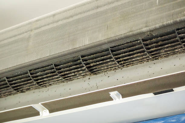 Best Air Duct Cleaning Near Me  in Abbeville, LA